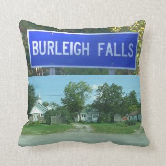 Burleigh Falls Throw Pillow