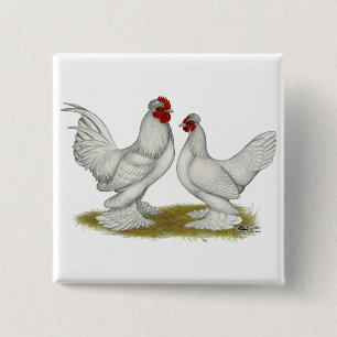 Burmese Bantams 2 Inch Square Button