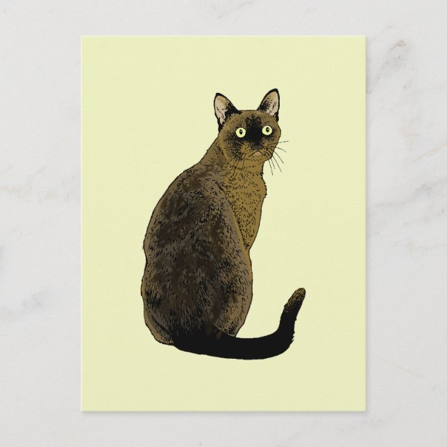 Burmese Cat Postcard (Front)
