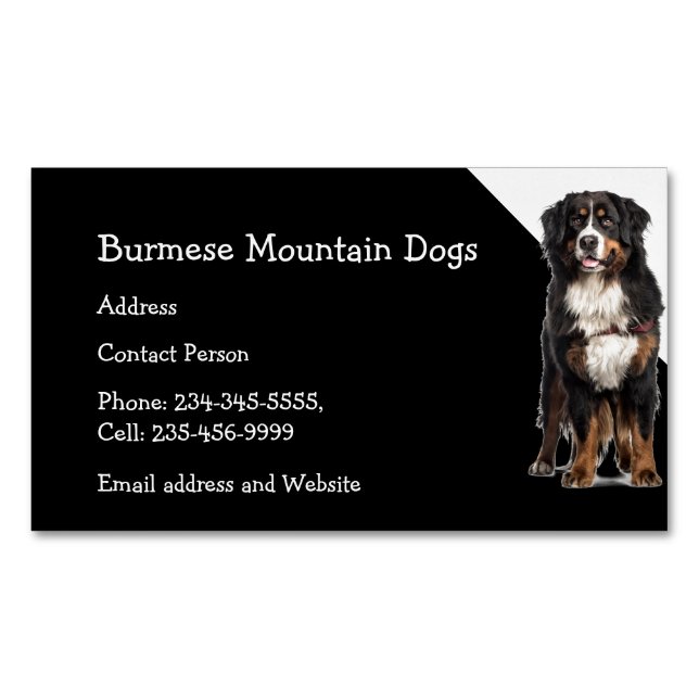 Burmese Mountain Dogs Breeder Pet Sitter  Business Magnetic Business Card (Front)
