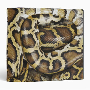 Burmese python binder