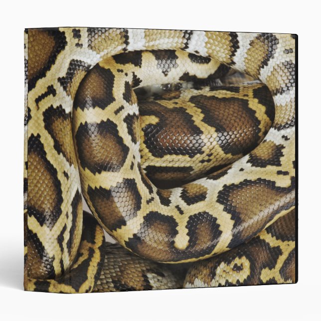 Burmese python binder (Front/Spine)