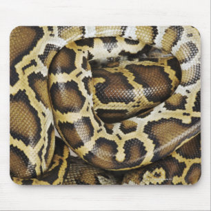 Burmese python mouse pad