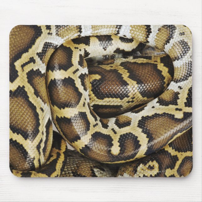 Burmese python mouse pad (Front)