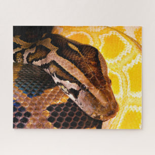 Burmese Python Snake Jigsaw Puzzle
