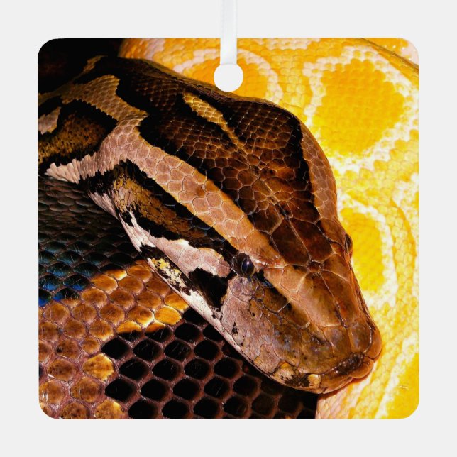 Burmese Python Snake Metal Ornament (Front)