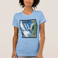 Burney Falls, CA Poster