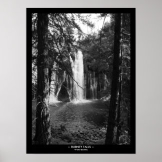 Burney Falls Through the Trees with Title Border Poster