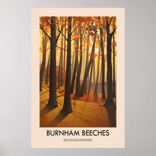 Burnham Beeches Travel Poster (Devant)