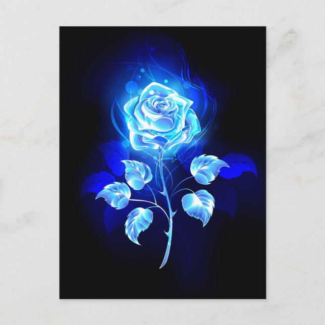 Burning Blue Rose Holiday Postcard (Front)