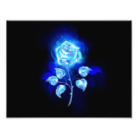 Burning Blue Rose