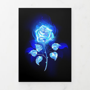 Burning Blue Rose Tri-Fold Programme