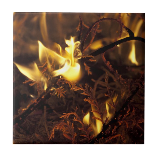 Burning Branches Tile (Front)
