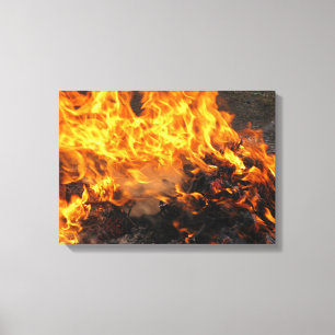 Burning Brush Canvas Print