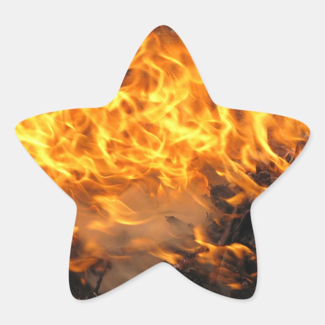 Burning Brush Star Sticker (Front)
