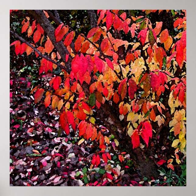 Burning Bush Abstract Poster (Front)