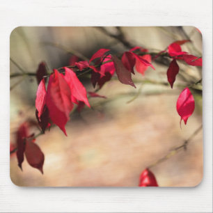 Burning Bush Autumn Foliage - Euonymus alatus Mouse Pad