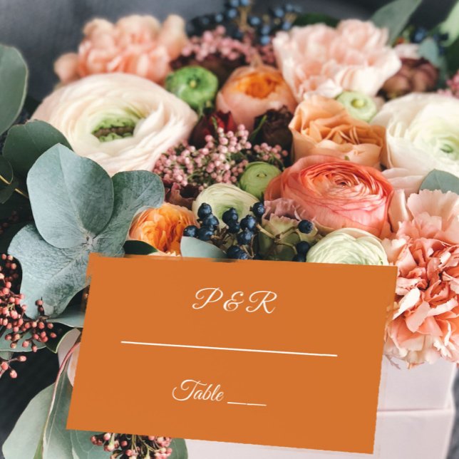 Burnt Orange Simple Stylized Script Wedding Place Card (In Situ Wedding)
