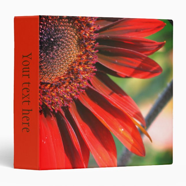 Burnt Orange Sunflower Petals Personalized Binder (Front/Spine)