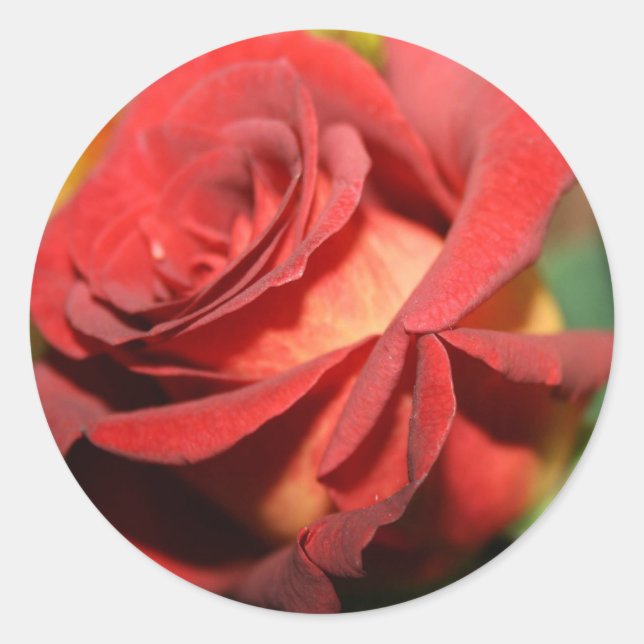 BURNT ROSE WEDDING STICKERS & ENVELOPE SEALS (Front)
