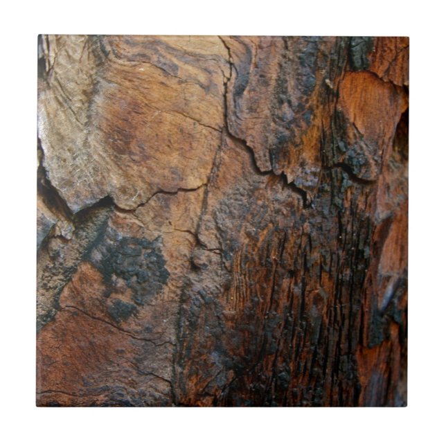 BURNT SEQUOIA TREE BARK DETAIL TILE (Front)