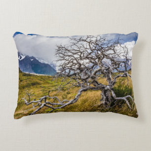 Burnt tree, Torres del Paine, Chile Accent Pillow