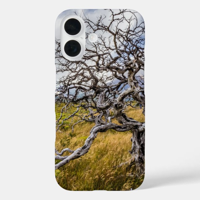 Burnt tree, Torres del Paine, Chile Case-Mate iPhone Case (Back)