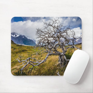 Burnt tree, Torres del Paine, Chile Mouse Pad