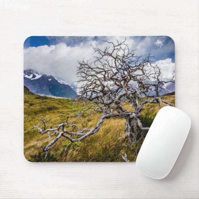 Burnt tree, Torres del Paine, Chile Mouse Pad (With Mouse)