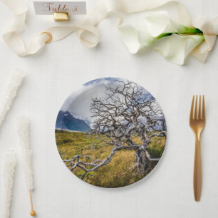 Burnt tree, Torres del Paine, Chile Paper Plate