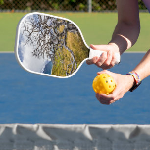 Burnt tree, Torres del Paine, Chile Pickleball Paddle