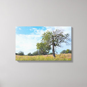 Burr Oak Trees and Prairie Canvas Print