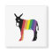 burro-catala-gai
