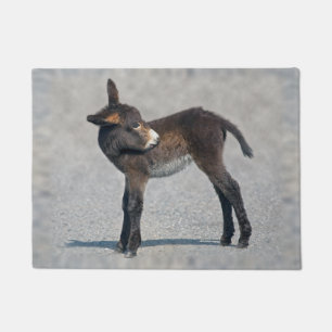 Burro Doormat