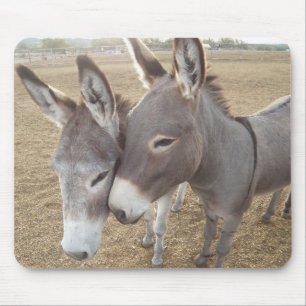 Burro Love Mouse Pad