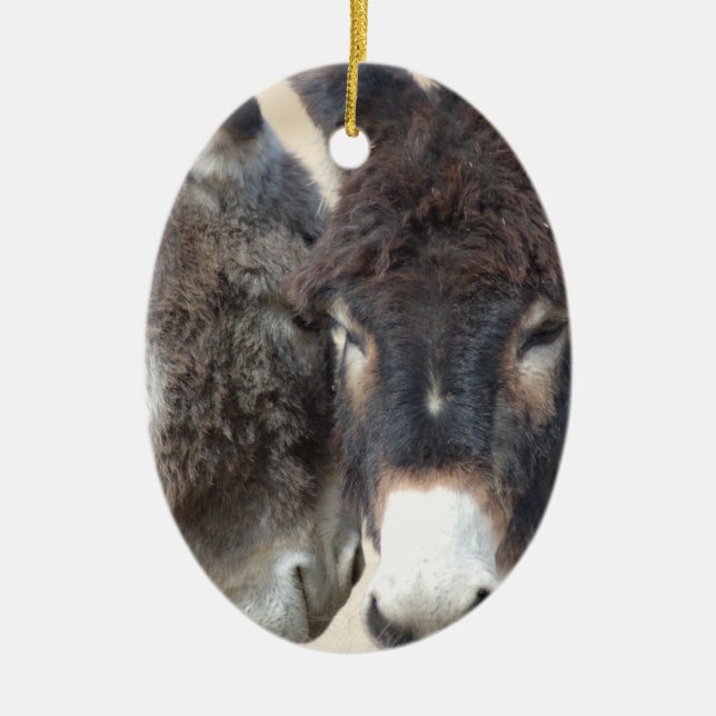 Burro Ornament (Front)