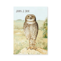 Burrowing Owl 2-Sided Business Card for Birders