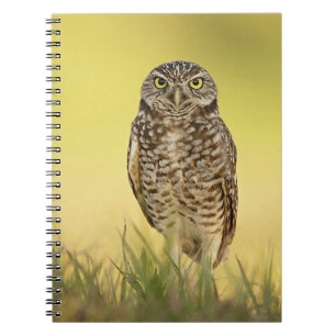 Burrowing Owl at Sunset Spiral Notebook