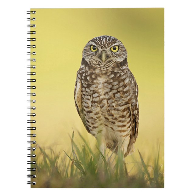 Burrowing Owl at Sunset Spiral Notebook (Front)