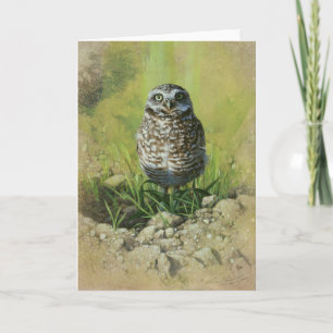Burrowing Owl, Blank Greetin Card by Andrew Denman