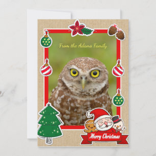 Burrowing Owl Christmas Card