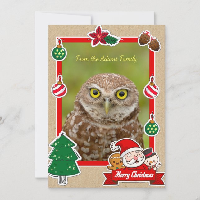 Burrowing Owl Christmas Card (Front)