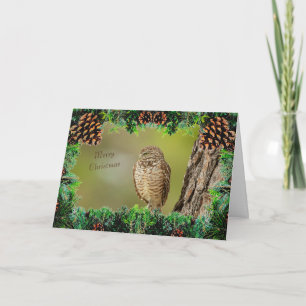 Burrowing Owl Christmas Card
