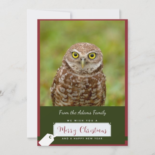 Burrowing Owl Christmas Card (Front)