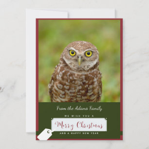 Burrowing Owl Christmas Card