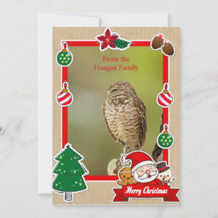 Burrowing Owl Christmas Card