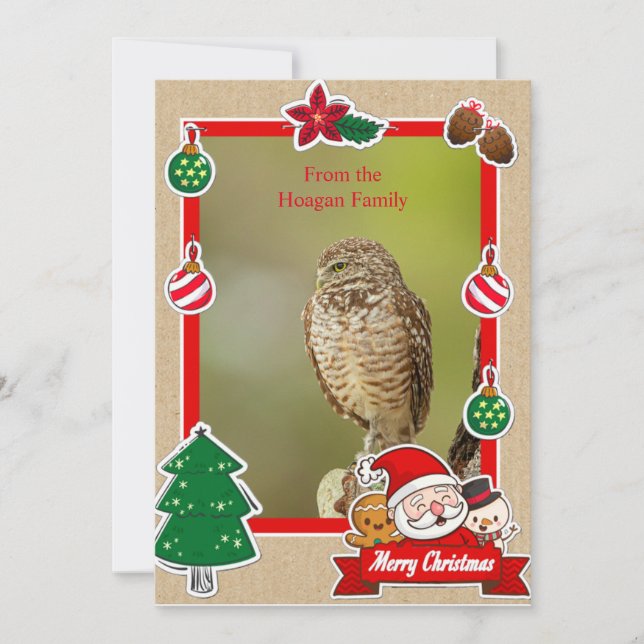 Burrowing Owl Christmas Card (Front)