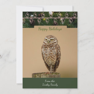 Burrowing Owl Christmas Card