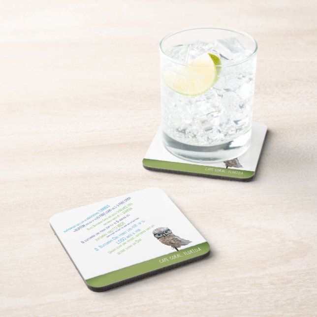 Burrowing Owl Coasters (Right Side)