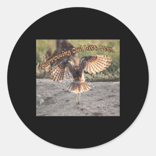 Burrowing Owl Lift Off Sticker